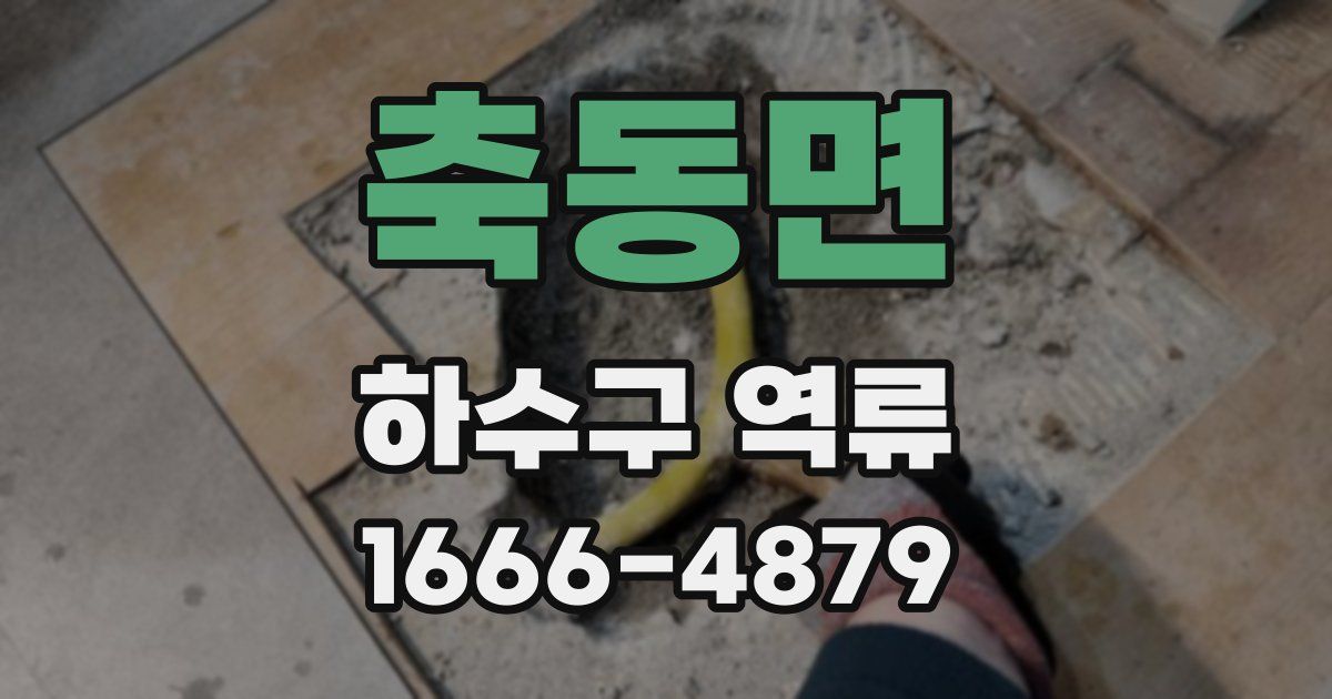 축동면 하수구 역류