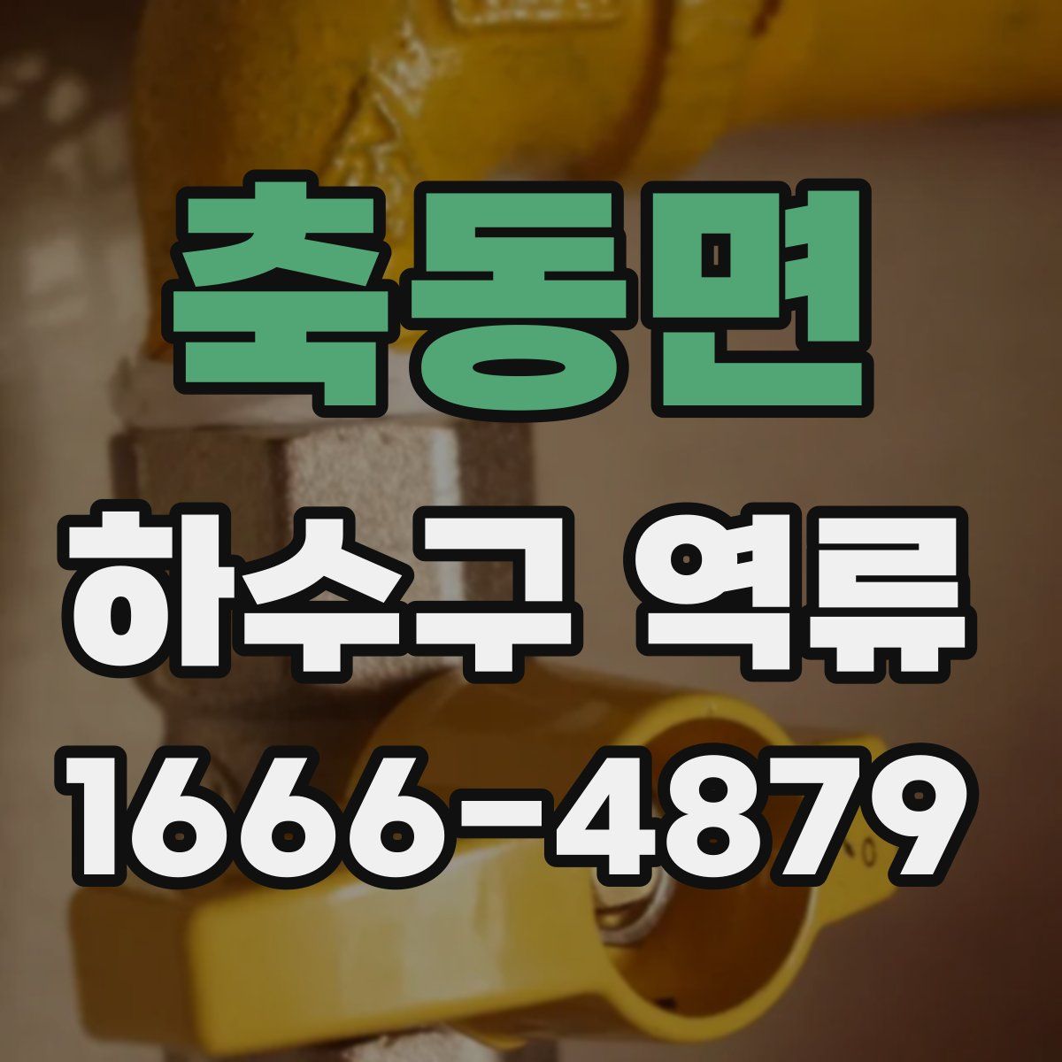 축동면 하수구 역류