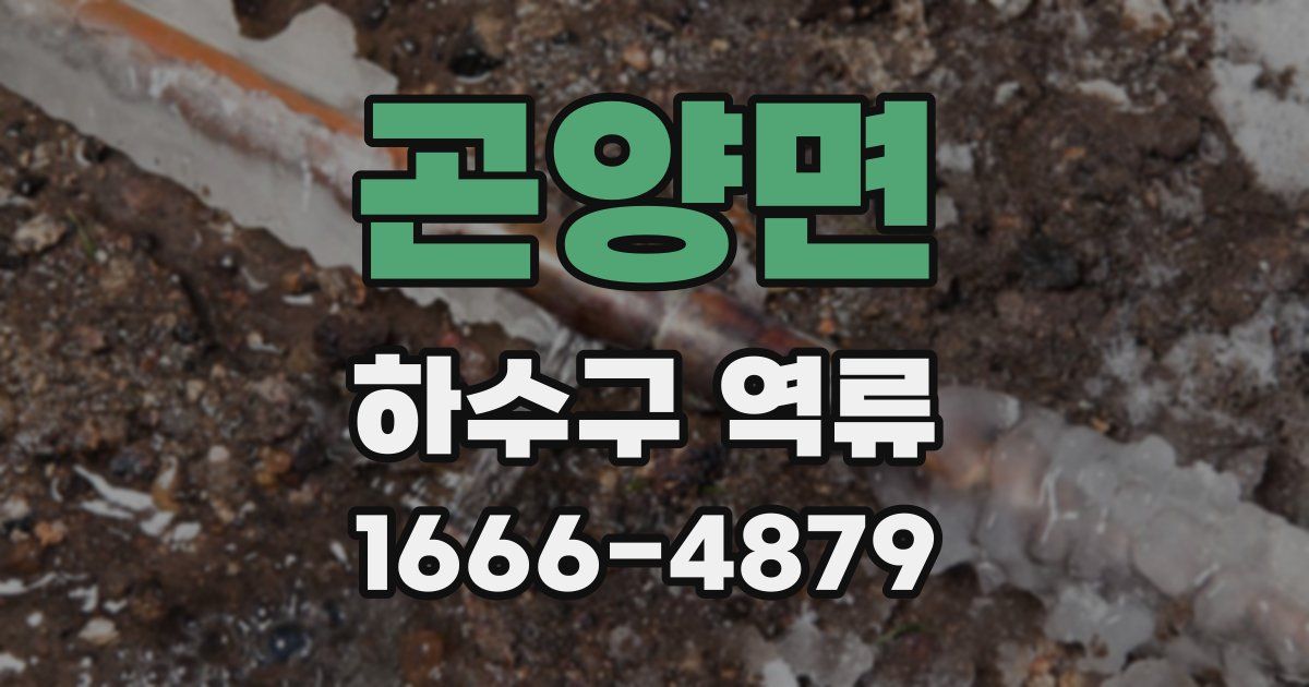 곤양면 하수구 역류