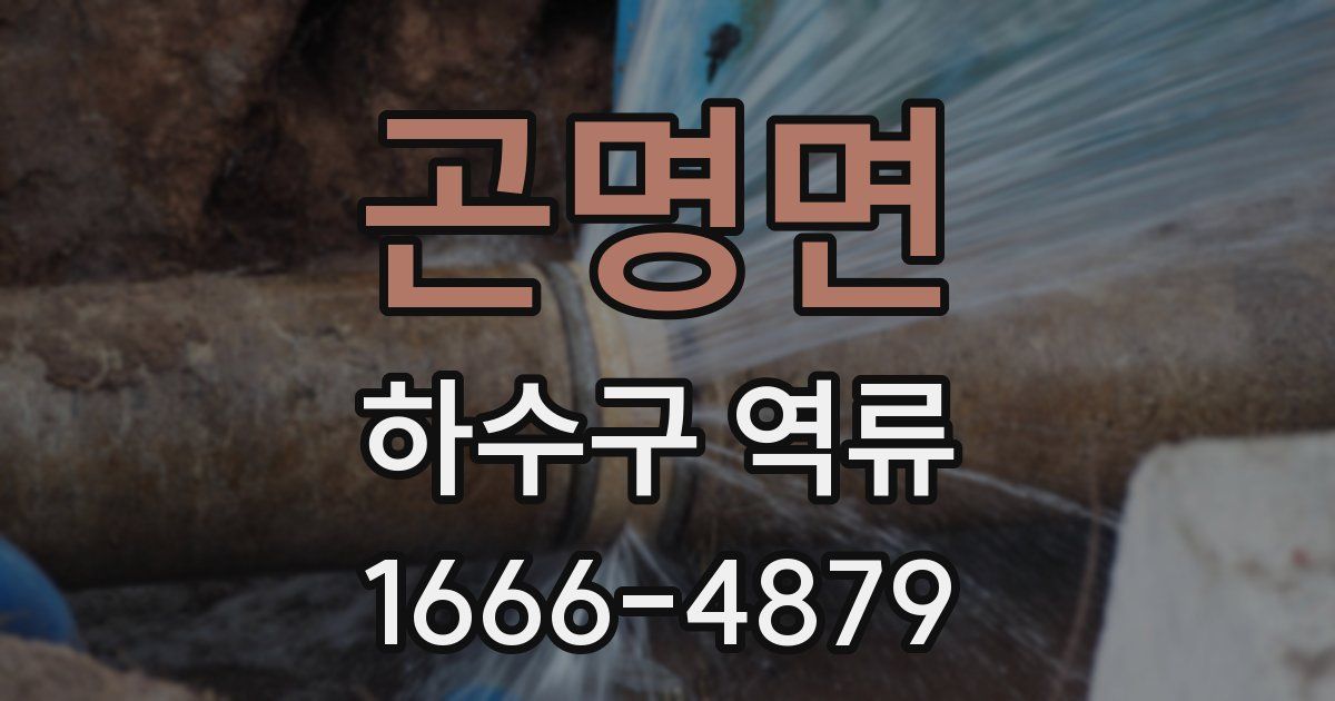 곤명면 하수구 역류