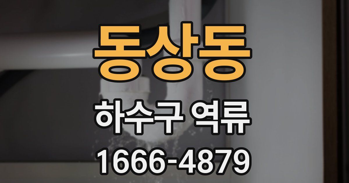 동상동 하수구 역류