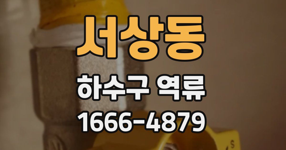 서상동 하수구 역류