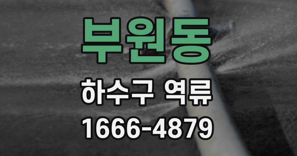 부원동 하수구 역류