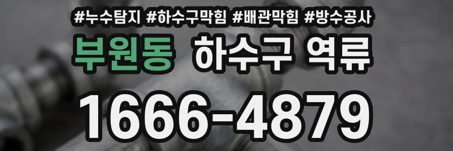부원동 하수구 역류