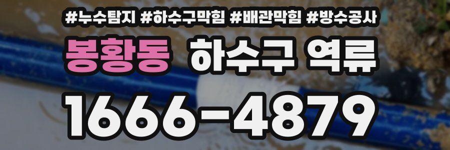 봉황동 하수구 역류