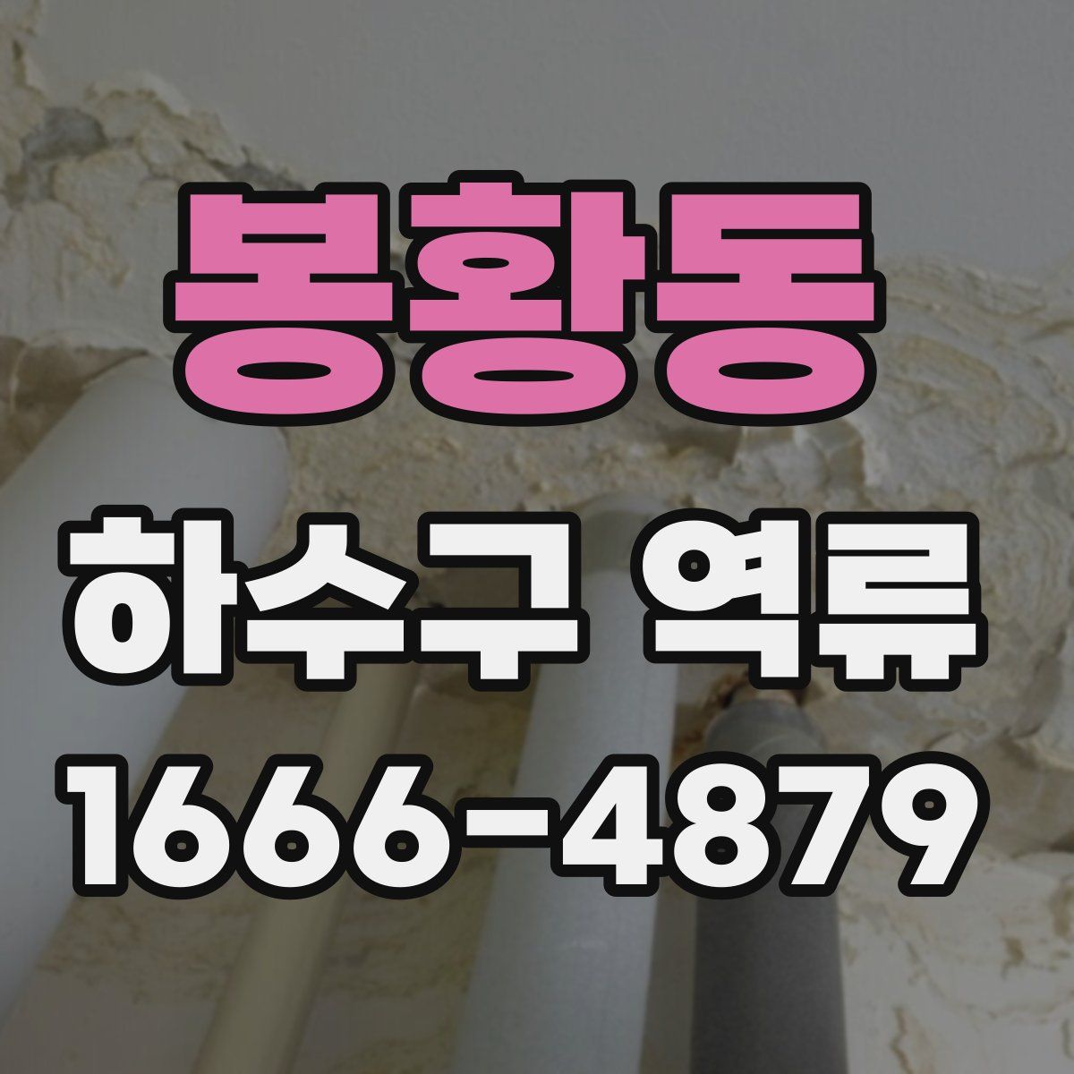 봉황동 하수구 역류