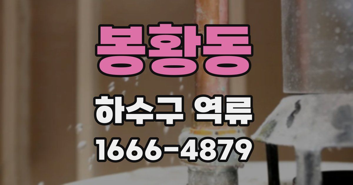 봉황동 하수구 역류