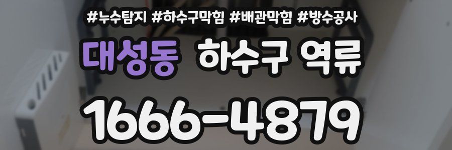 대성동 하수구 역류