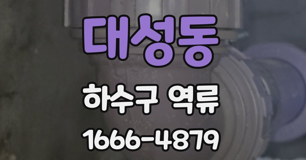 대성동 하수구 역류