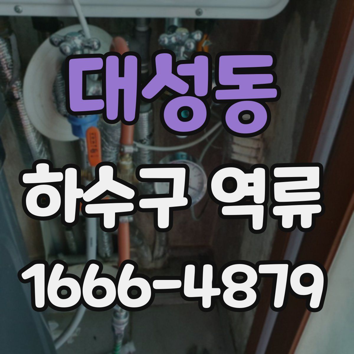 대성동 하수구 역류
