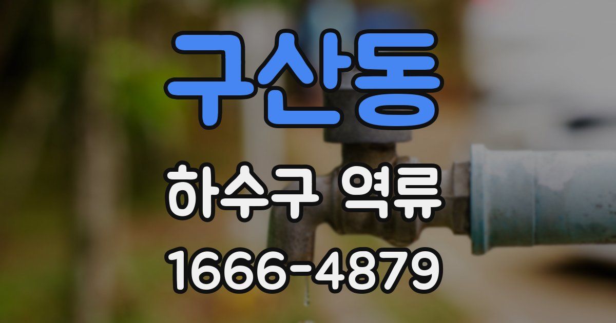 구산동 하수구 역류