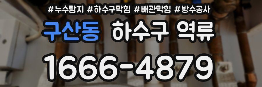 구산동 하수구 역류