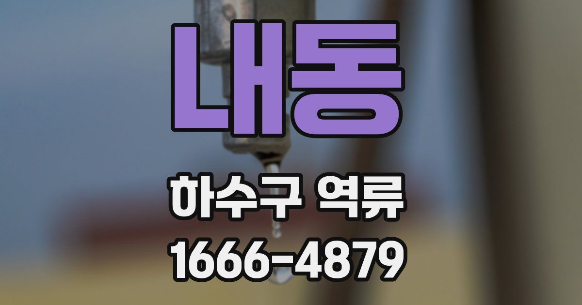 내동 하수구 역류