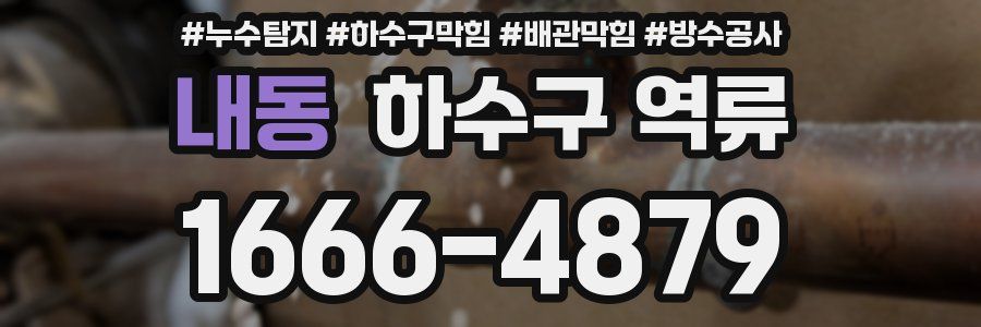 내동 하수구 역류