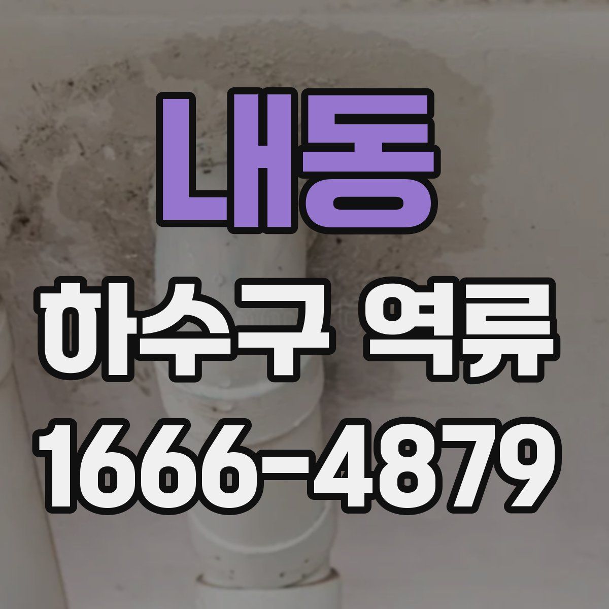 내동 하수구 역류
