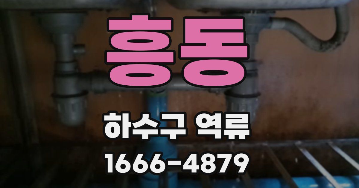 흥동 하수구 역류