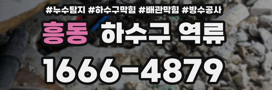 흥동 하수구 역류