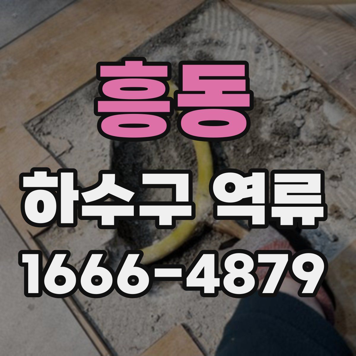 흥동 하수구 역류