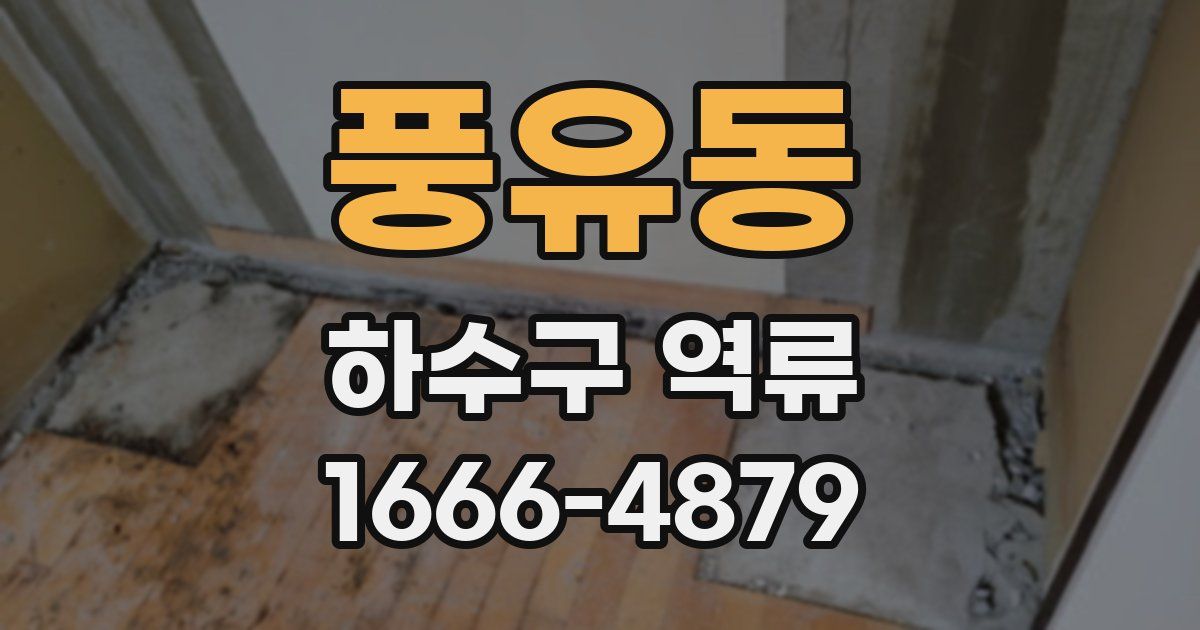 풍유동 하수구 역류