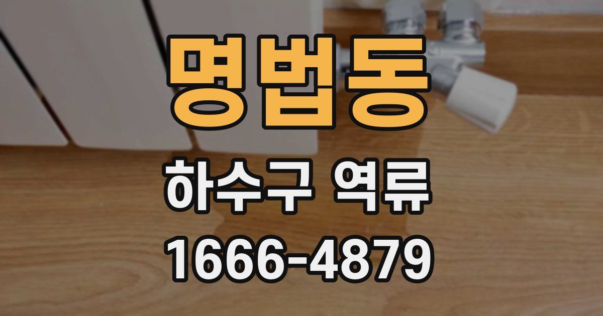 명법동 하수구 역류