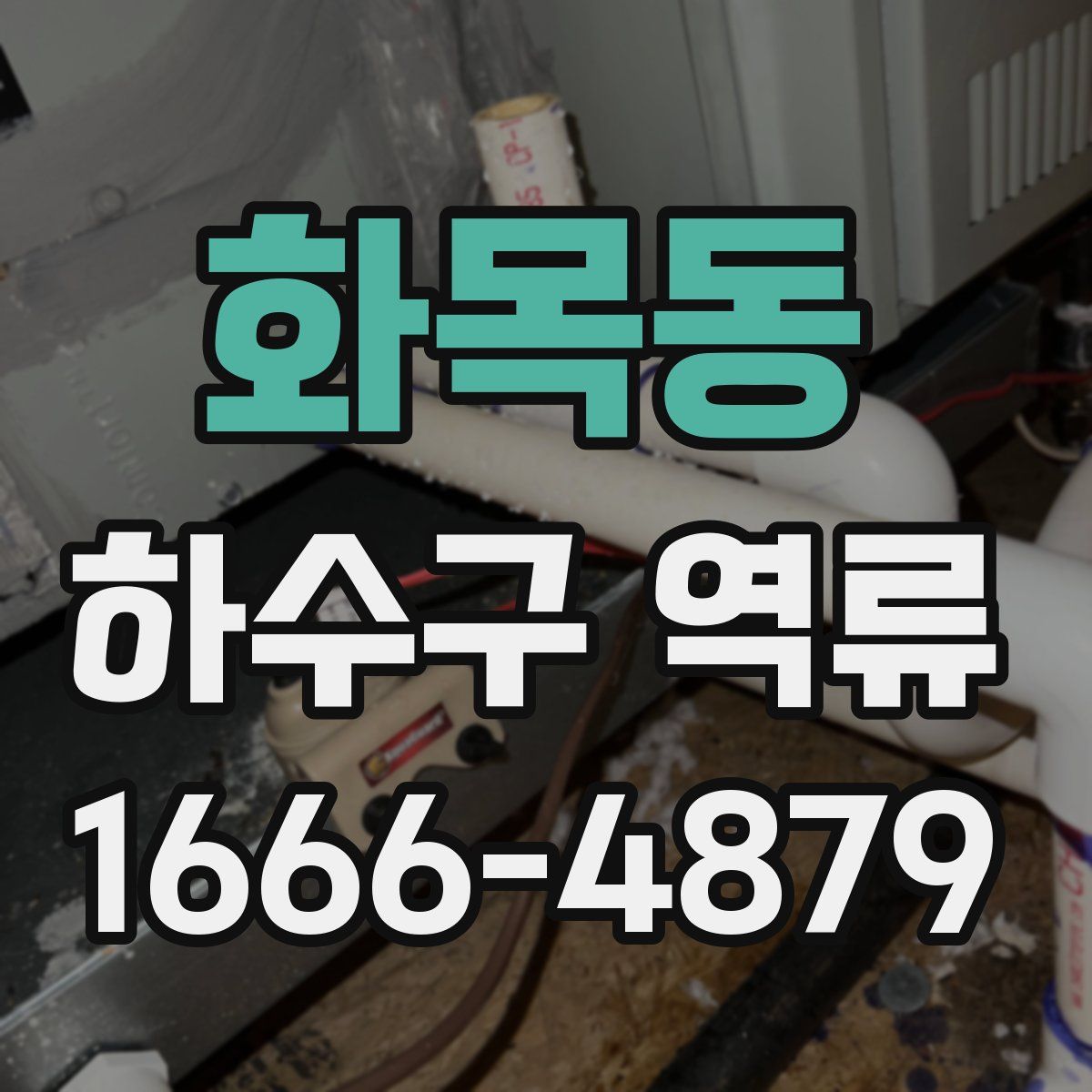 화목동 하수구 역류