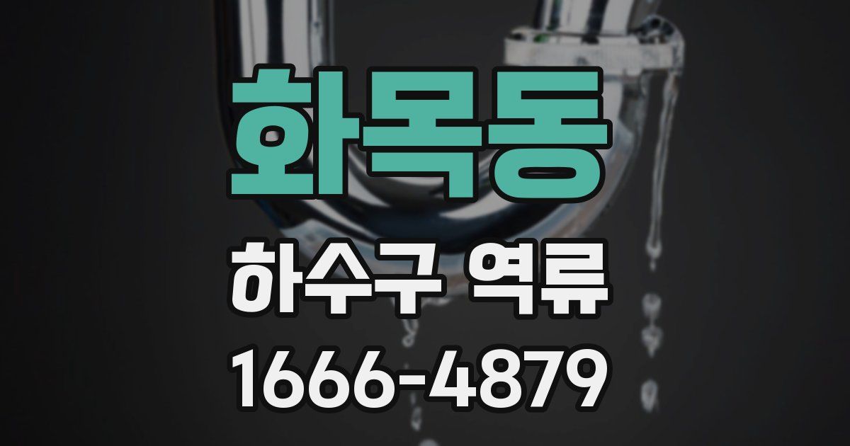 화목동 하수구 역류