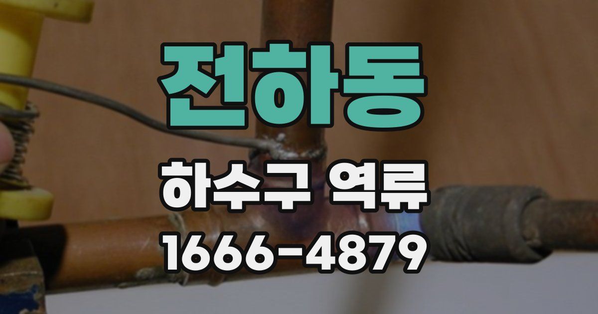 전하동 하수구 역류