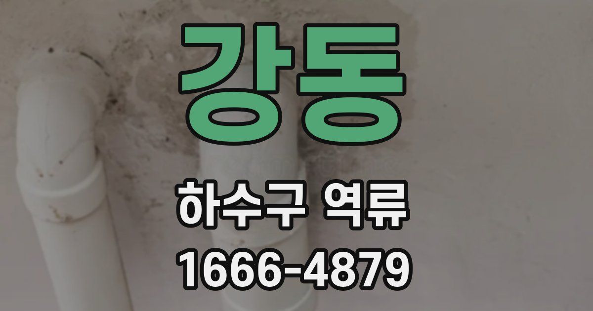 강동 하수구 역류