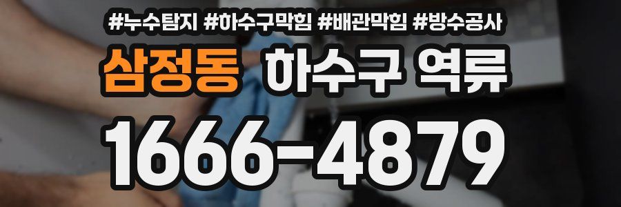 삼정동 하수구 역류