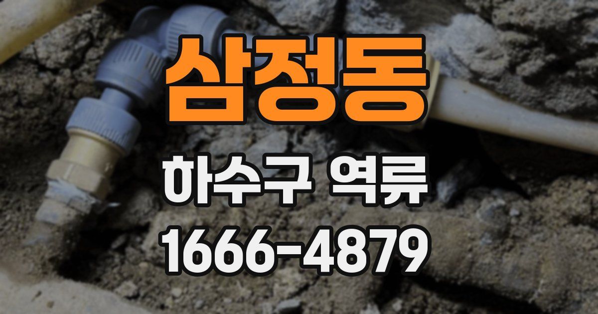 삼정동 하수구 역류