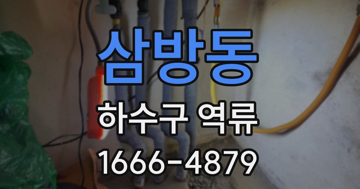 삼방동 하수구 역류