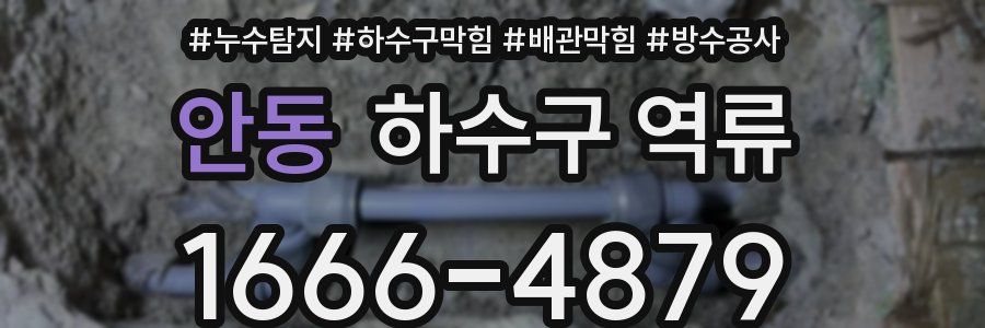 안동 하수구 역류
