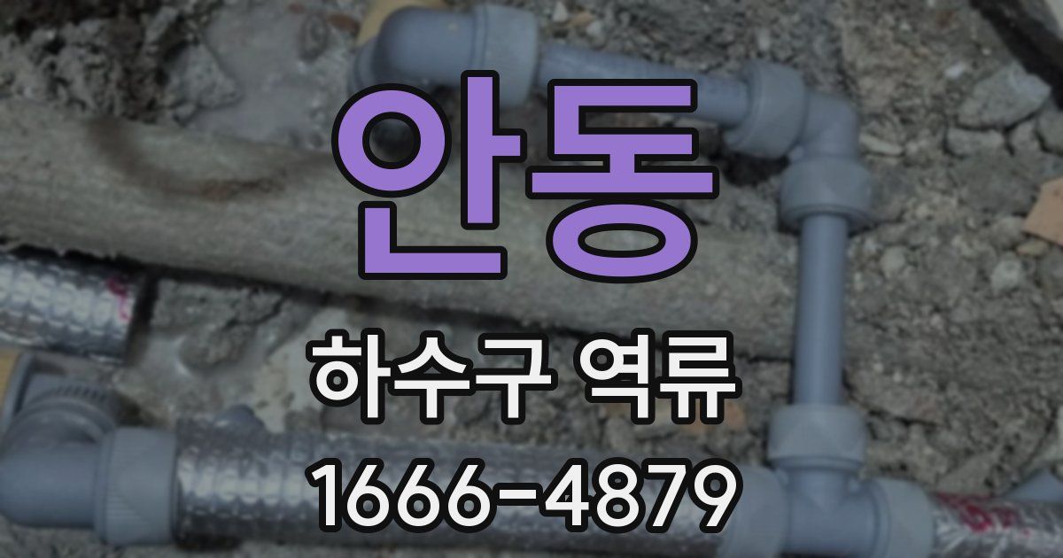 안동 하수구 역류
