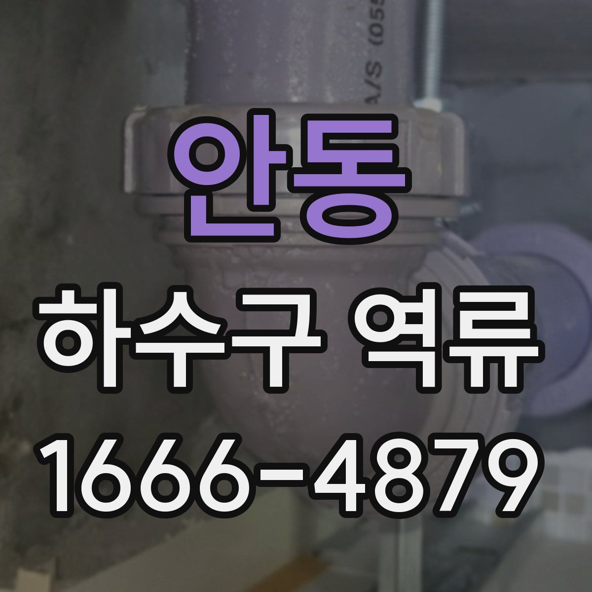 안동 하수구 역류