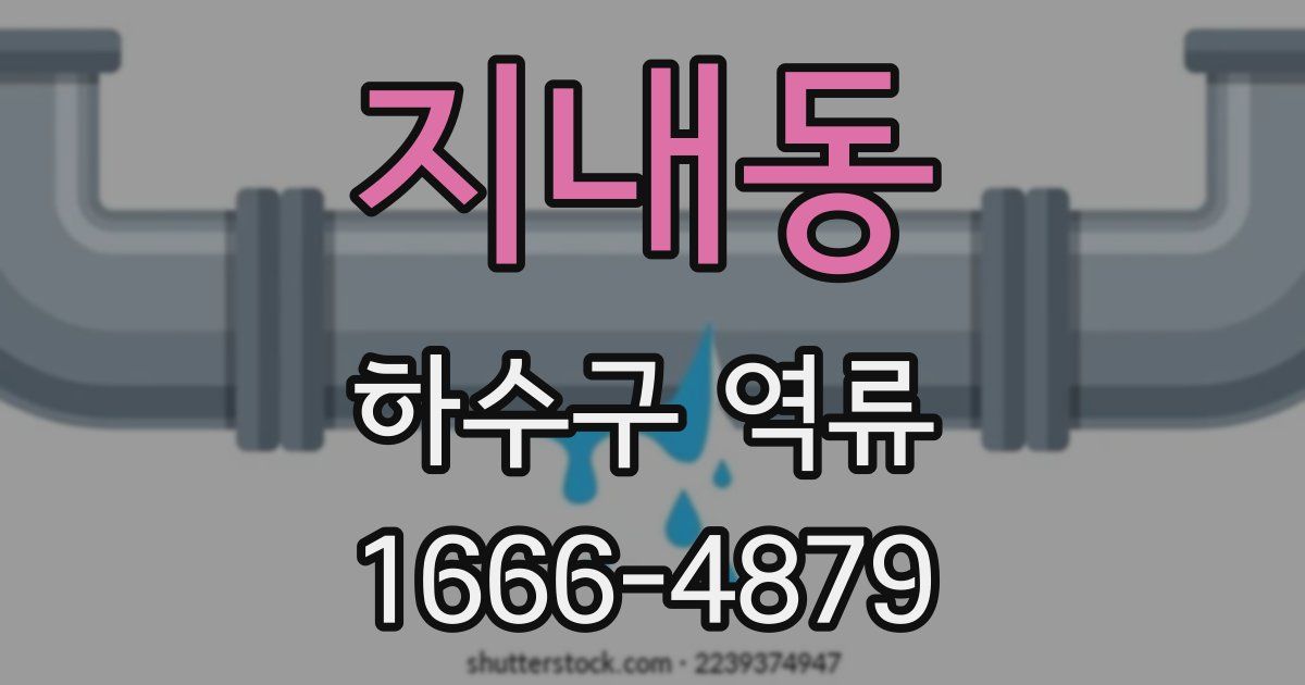 지내동 하수구 역류