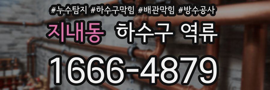 지내동 하수구 역류