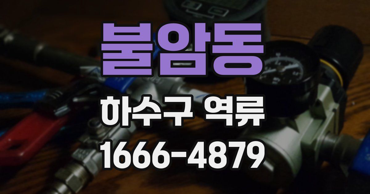 불암동 하수구 역류