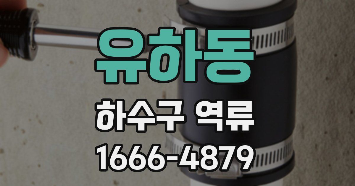 유하동 하수구 역류