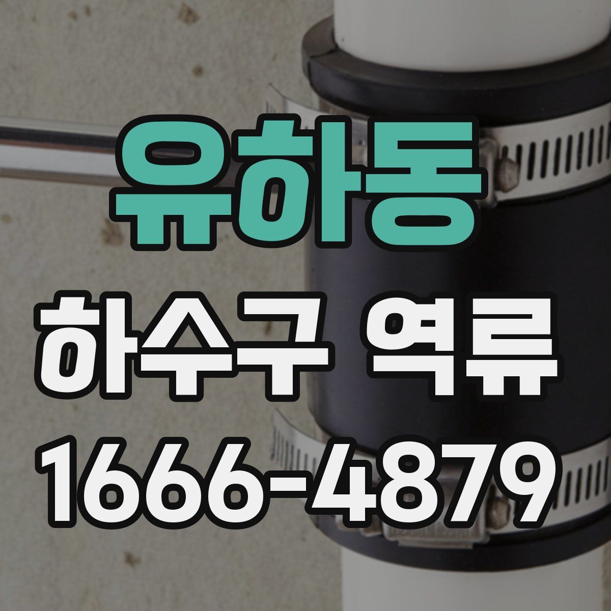 유하동 하수구 역류