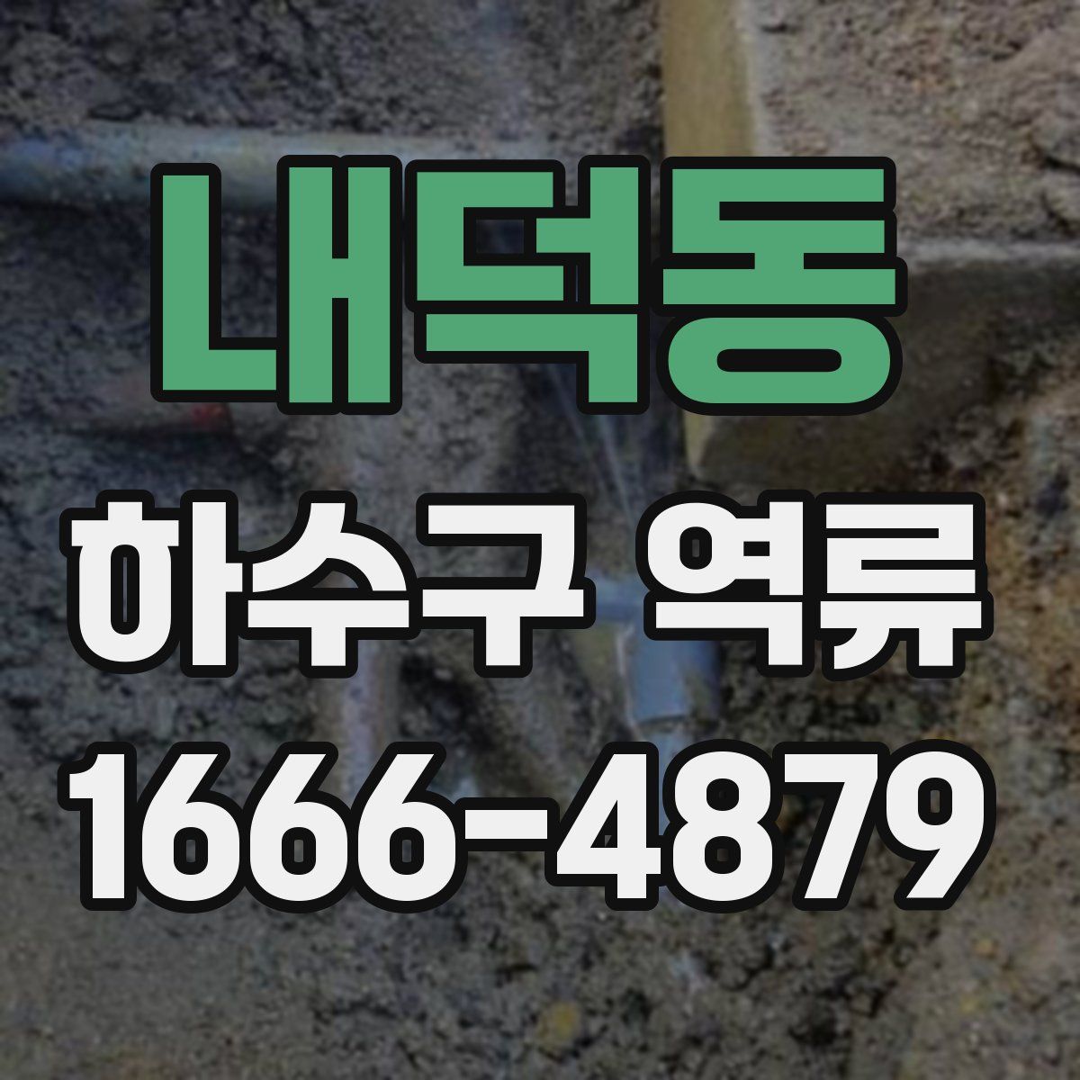 내덕동 하수구 역류