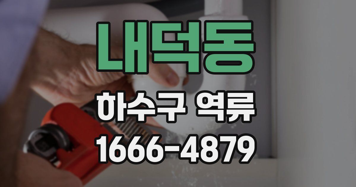 내덕동 하수구 역류