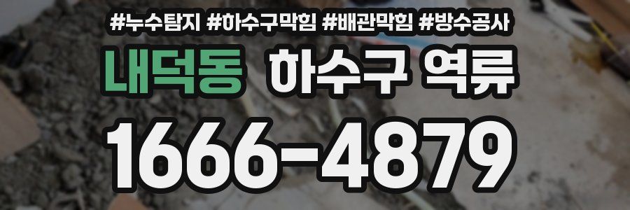 내덕동 하수구 역류