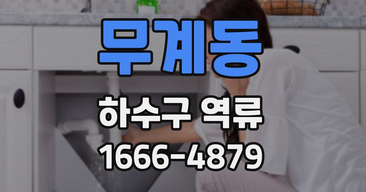무계동 하수구 역류