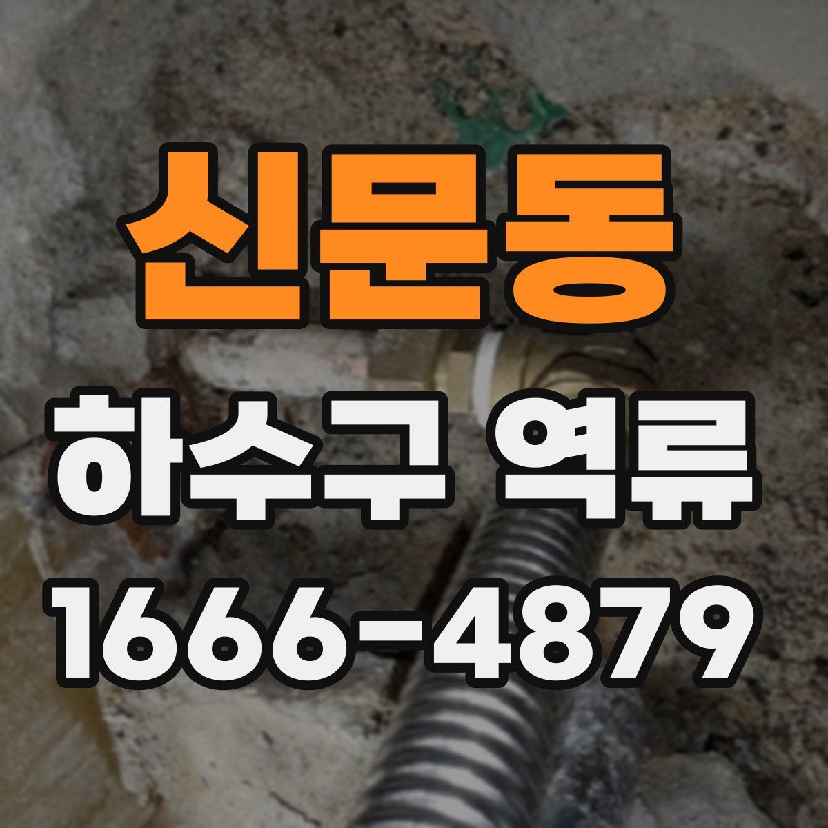 신문동 하수구 역류