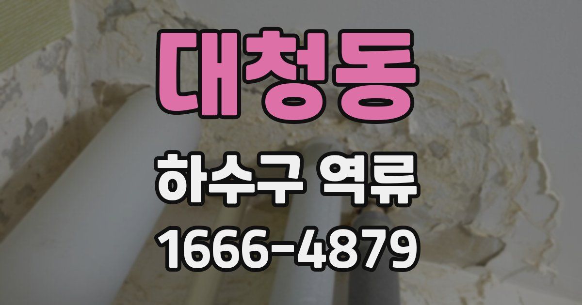 대청동 하수구 역류