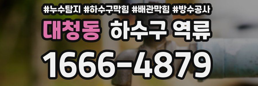 대청동 하수구 역류