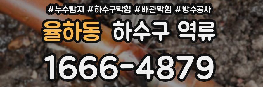 율하동 하수구 역류