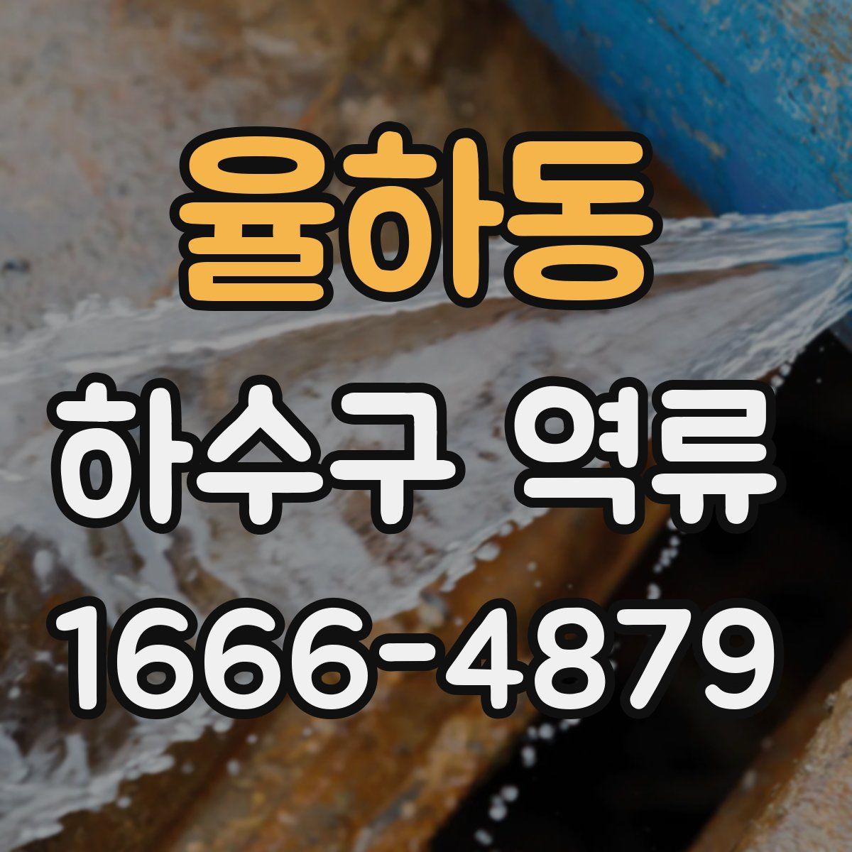 율하동 하수구 역류