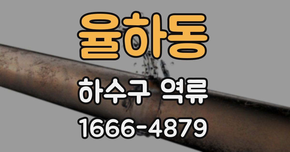 율하동 하수구 역류