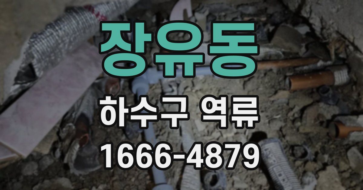 장유동 하수구 역류